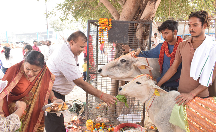 news-gopaastami-2024-noida07